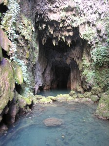 The entrance to a cave in Meghalaya (Photo: Simon Brooks)