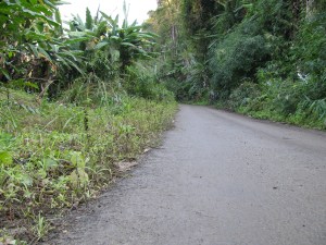 Stilwell Road between Nampong and Pangsau Pass (Photo: Shyam G Menon)