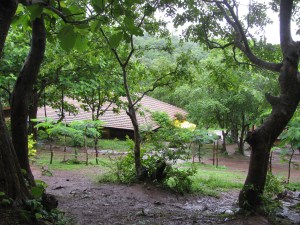 Kalkeri Sangeet Vidyalaya (Photo: Shyam G Menon)