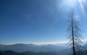 The view from a little used road en route to Lansdowne in Garhwal, part of a 2013 cycle trip-route (Photo: Shyam G Menon)