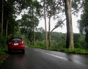 The road to Ponmudi (Photo: Shyam G Menon)