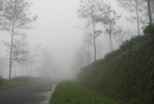 On Ponmudi (Photo: Shyam G Menon)