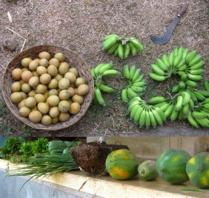 Farm produce (Photo: Shyam G Menon). 