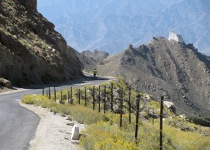 Runner approaching Leh / Khardung La Challenge 2015 (Photo: Shyam G Menon)