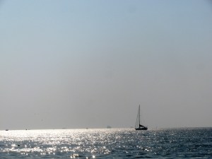 The Mhadei near the Mandovi's estuary on January 4, 2016 (Photo: Shyam G Menon)
