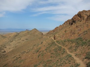 Running in the Gobi desert (Photo: courtesy Michelle Kakade)