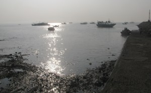 Karanja (Photo: Shyam G Menon)